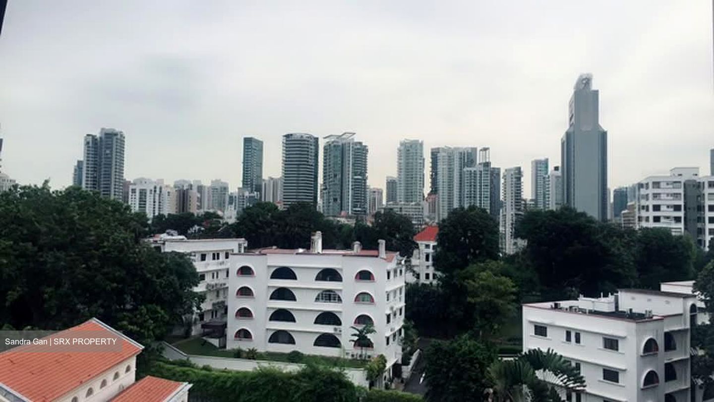 The Rise @ Oxley - Residences (D9), Apartment #574485601